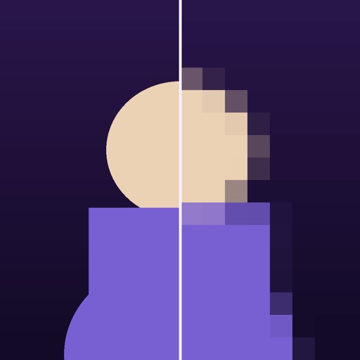 Blur & Mosaic Privacy